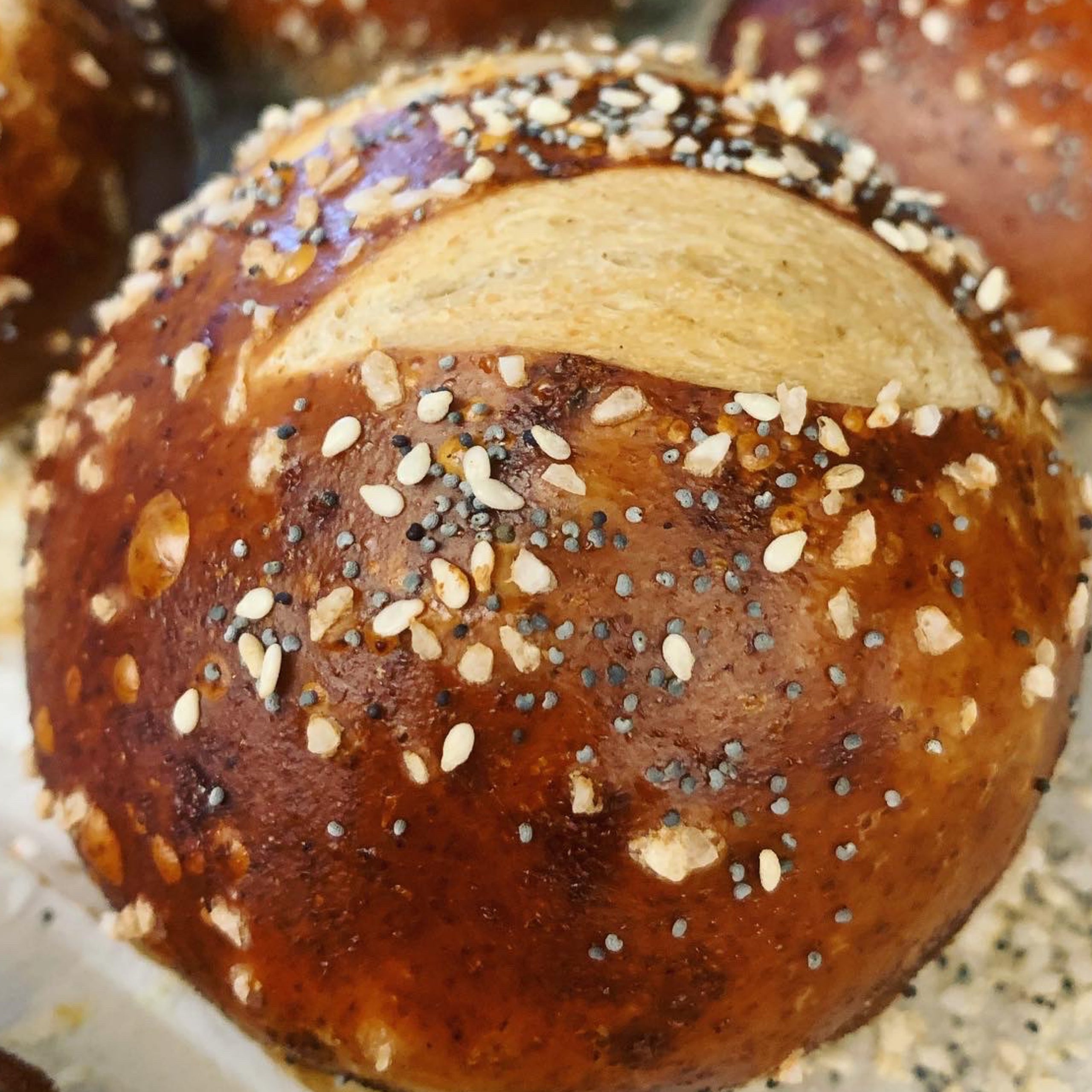 Pretzel Roll, Brisket + Provolone herb & honey bakery