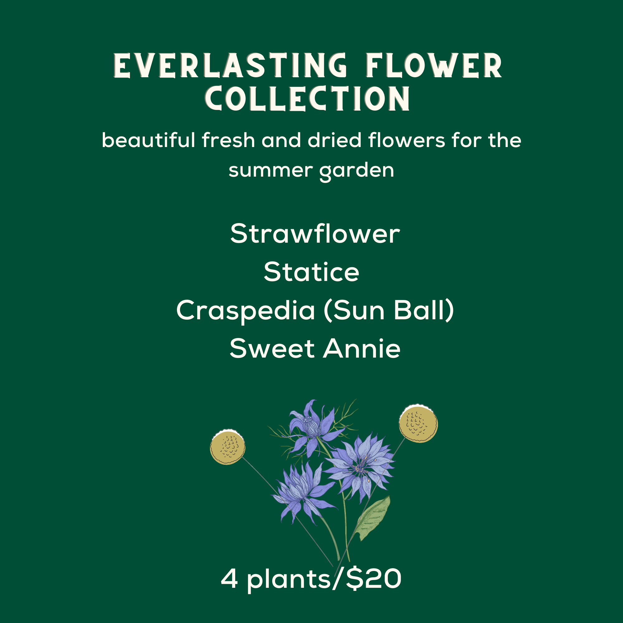 Everlasting Flower Collection herb & honey bakery